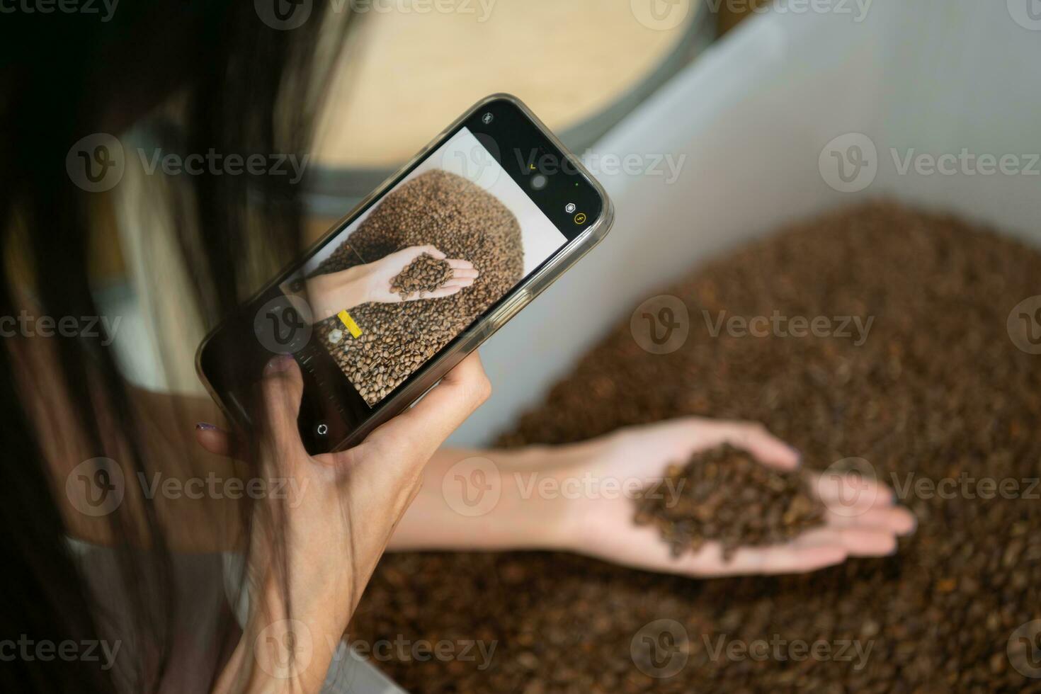 Jeune homme dans tablier travail avec rôti café, vérification le des haricots café rôti photo