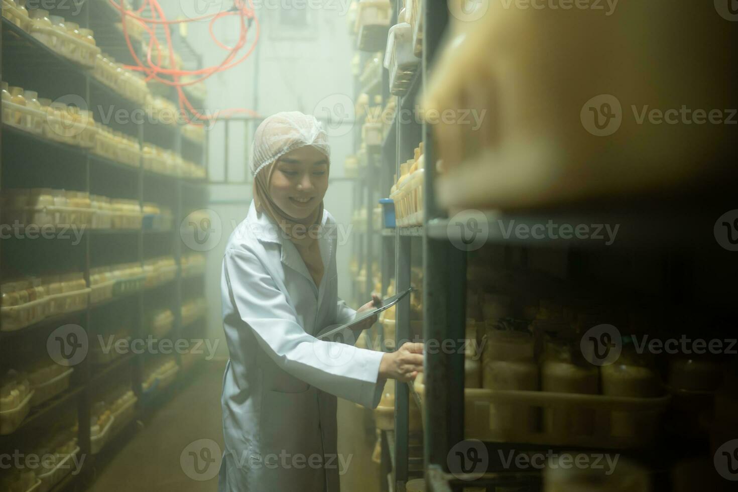 Jeune asiatique musulman femelle scientifique Faire recherche à une champignon usine, examiner champignon levain agent dans une stérile et à température contrôlée chambre. photo