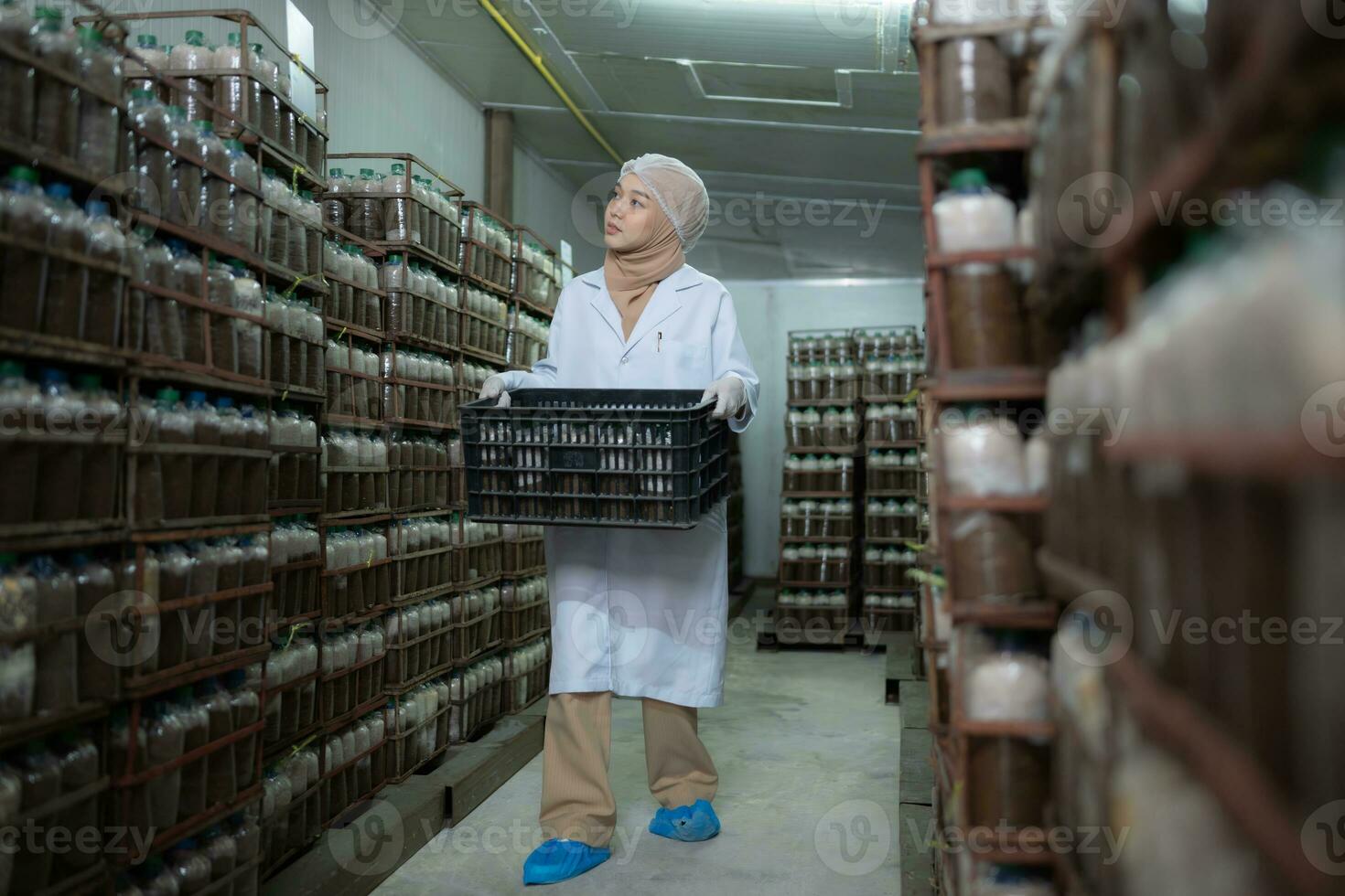 portrait de une femelle scientifique porter une boîte avec champignon grumeaux dans une stérile et à température contrôlée pièce photo