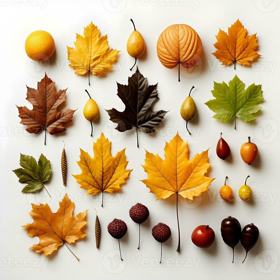 une groupe de l'automne feuilles arrangé sur une blanc Contexte. le feuilles sont une variété de couleurs photo
