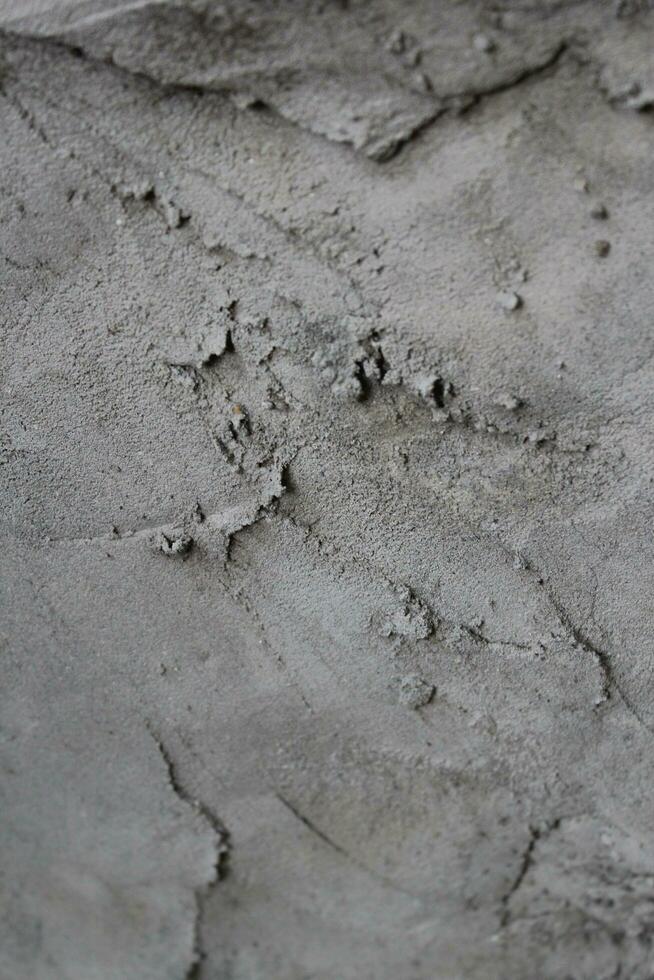 inégal ciment et le sable mur texture arrière-plan, grungy ciment mur surface, rustique le sable mur photo