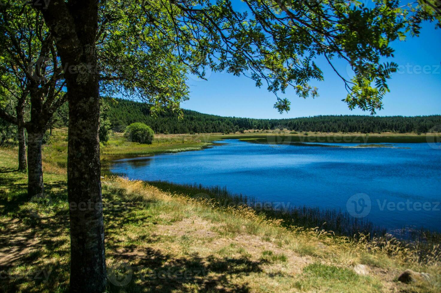 parc national des cévennes photo