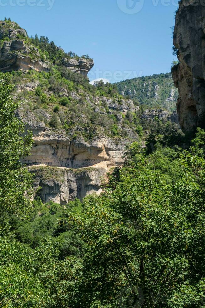 parc national des cévennes photo