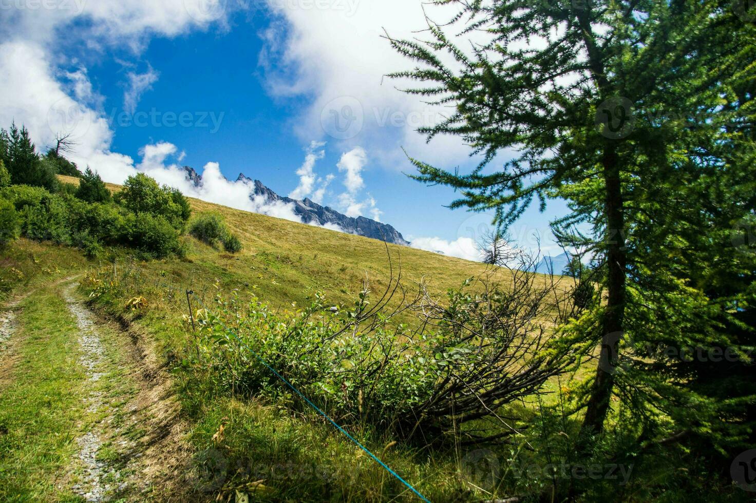 Suisse Alpes paysage photo