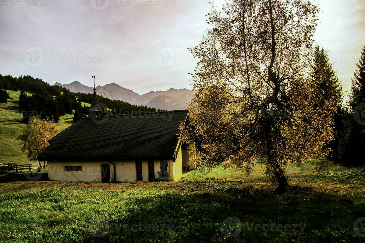 une petit maison séance dans une champ avec une arbre dans le Contexte photo
