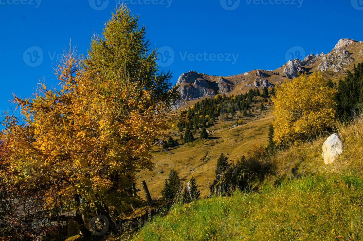 paysage des Alpes suisse en automne photo