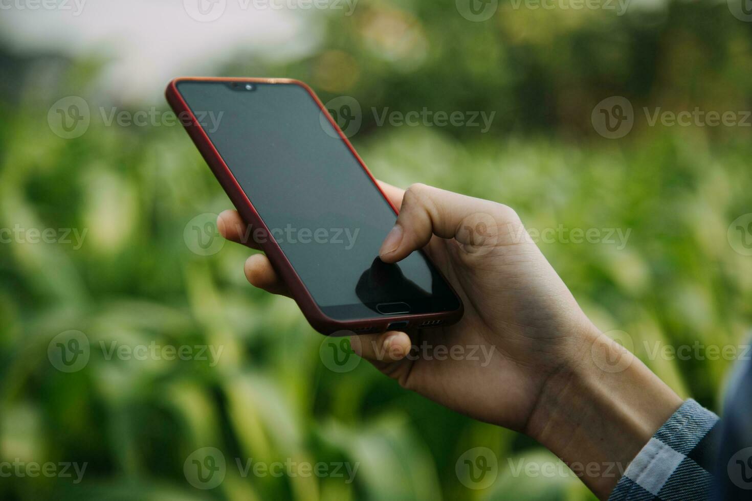 agriculteur utiliser le coeur Les données réseau dans le l'Internet de le mobile à valider, test, et sélectionner le Nouveau surgir méthode. Jeune Les agriculteurs et le tabac agriculture photo