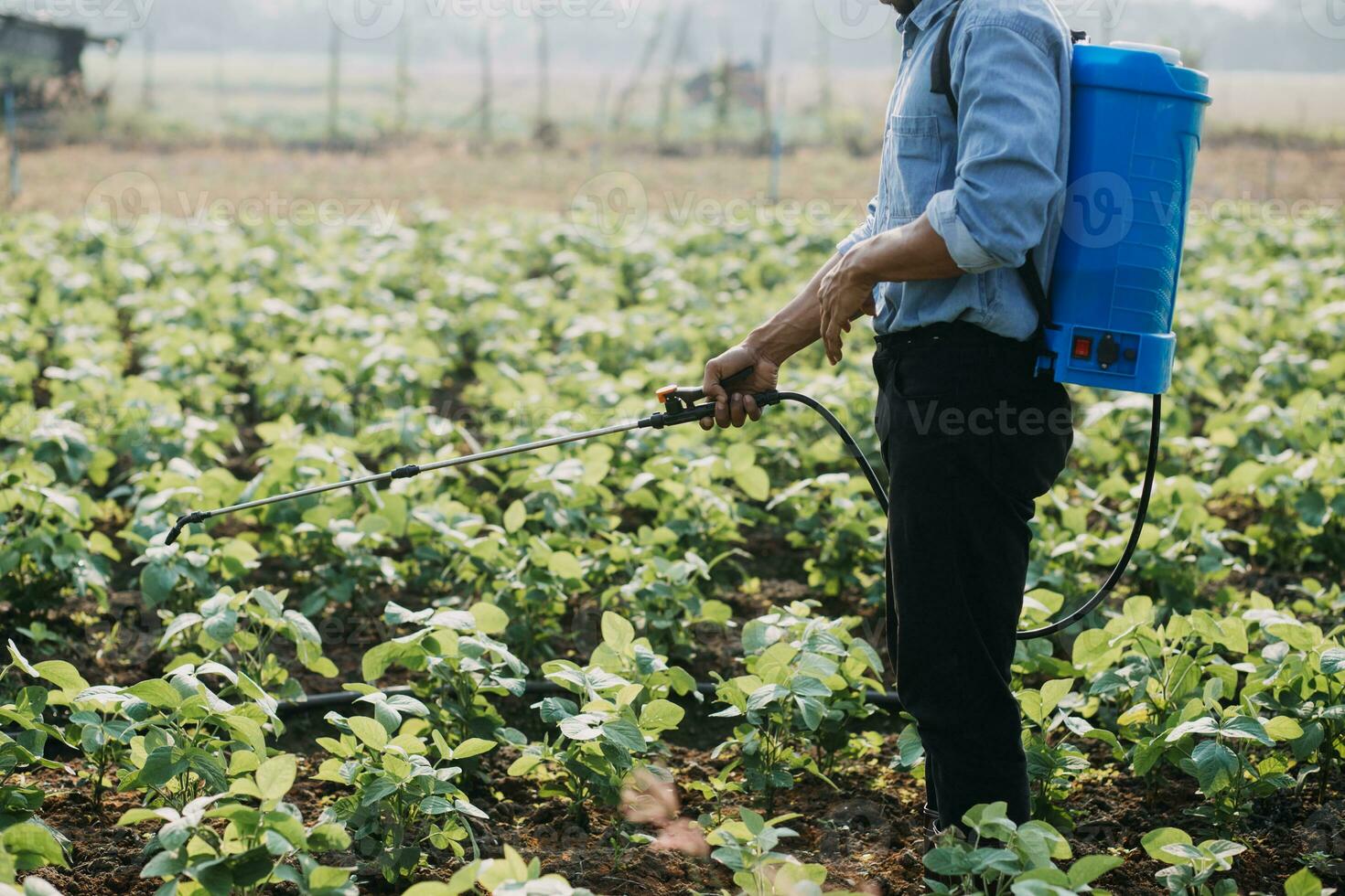 agriculteur utiliser le coeur Les données réseau dans le l'Internet de le mobile à valider, test, et sélectionner le Nouveau surgir méthode. Jeune Les agriculteurs et le tabac agriculture photo