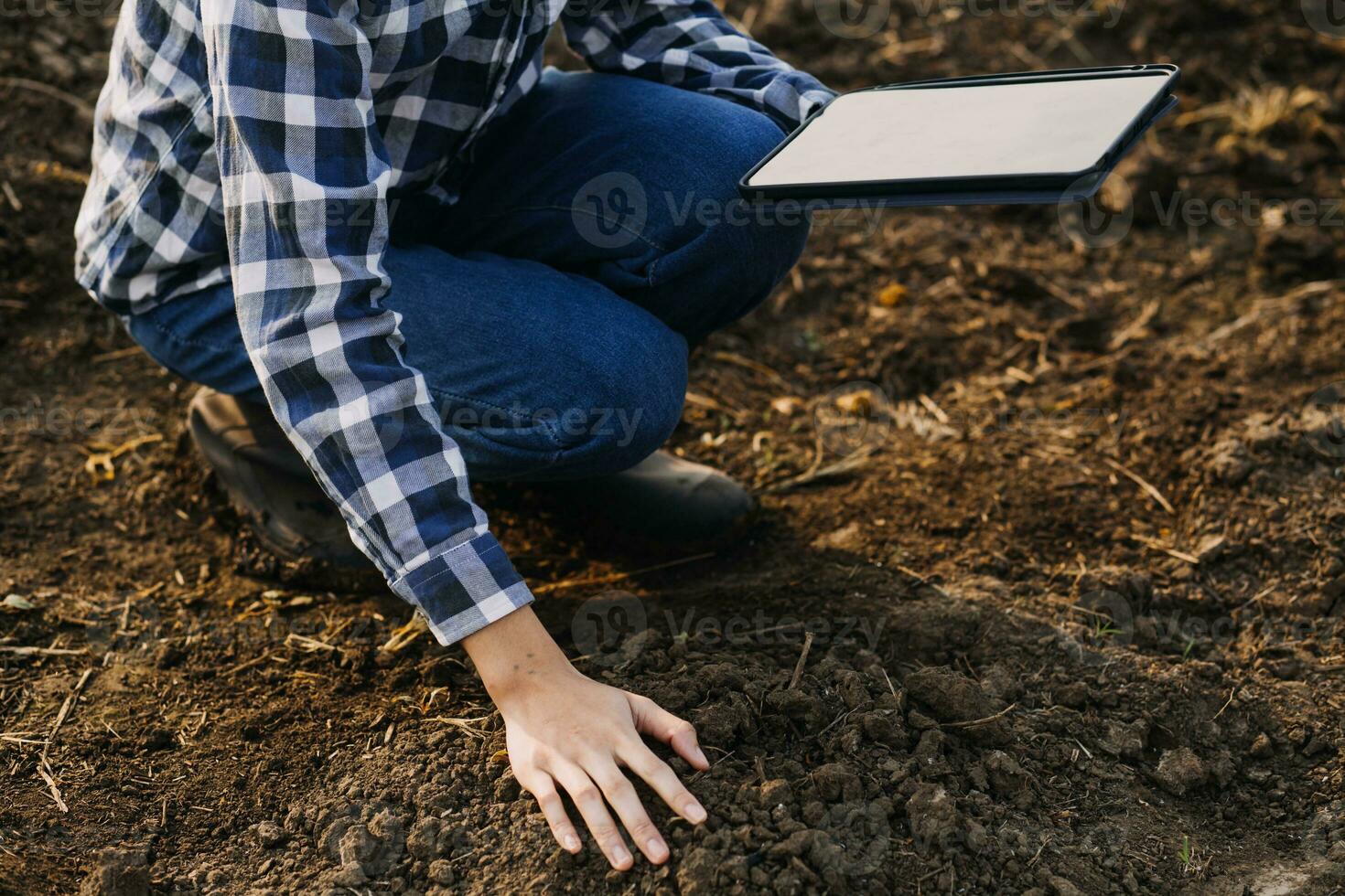 Masculin mains émouvant sol sur le champ. expert main de agriculteur vérification sol santé avant croissance une la graine de légume ou plante semis. affaires ou écologie concept. photo