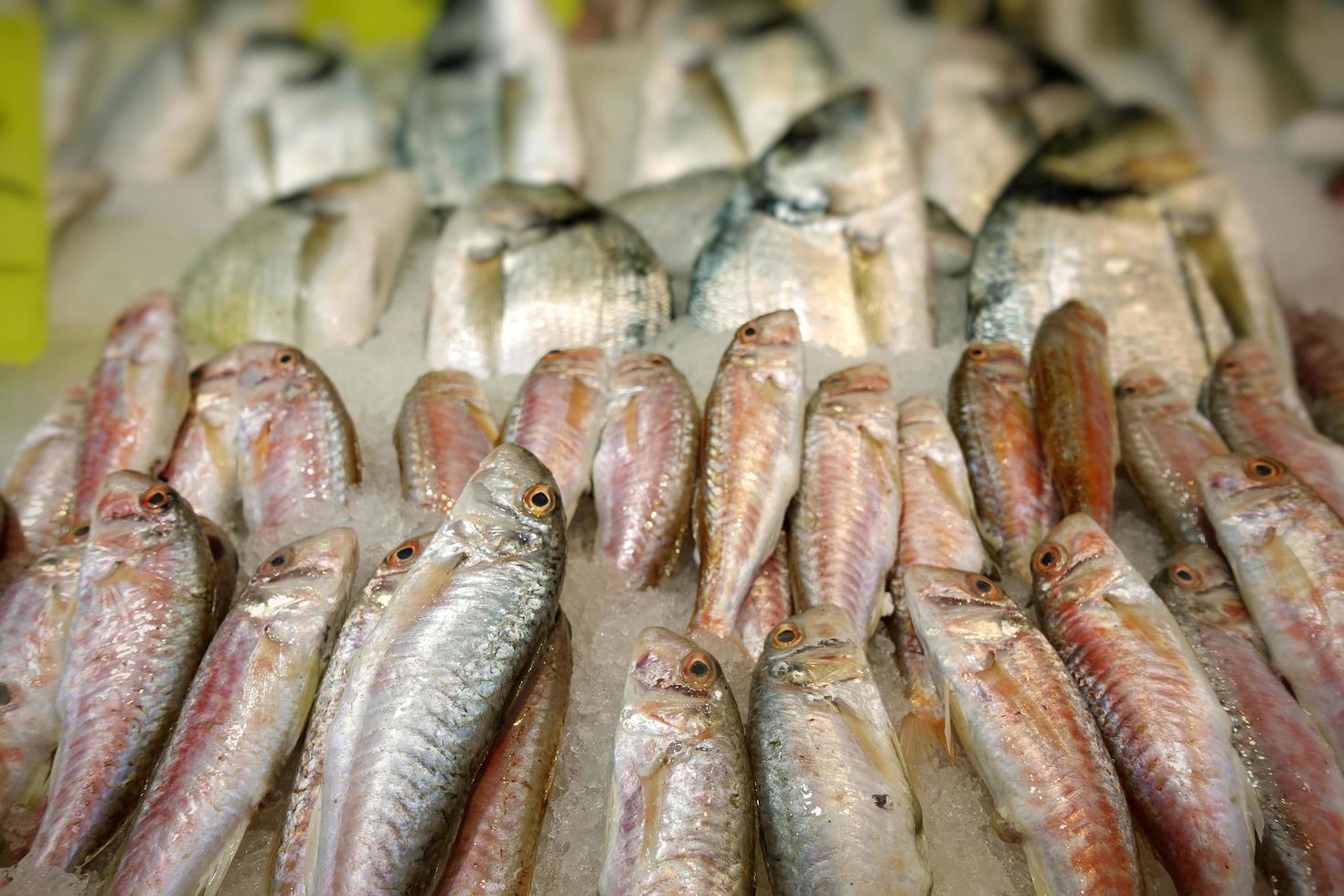 nourriture pour poissons dans un stand de marché aux poissons photo