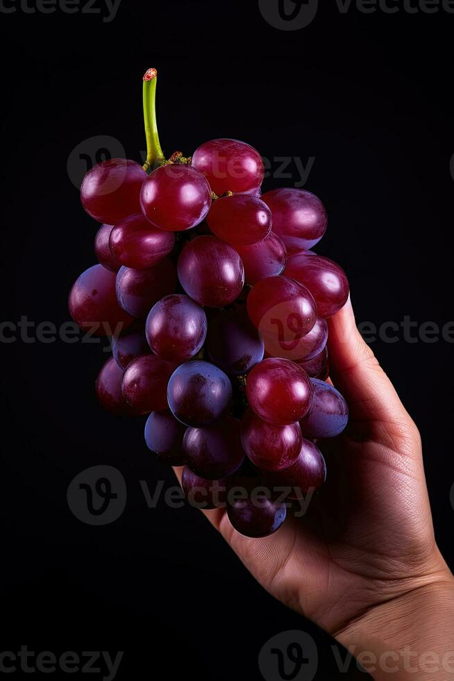 main en portant une bouquet de rouge les raisins isolé sur une noir Contexte. ai généré photo