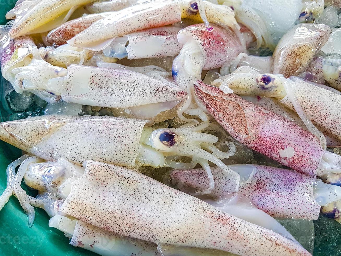 fruits de mer thaïlandais crus à koh samui, thaïlande photo