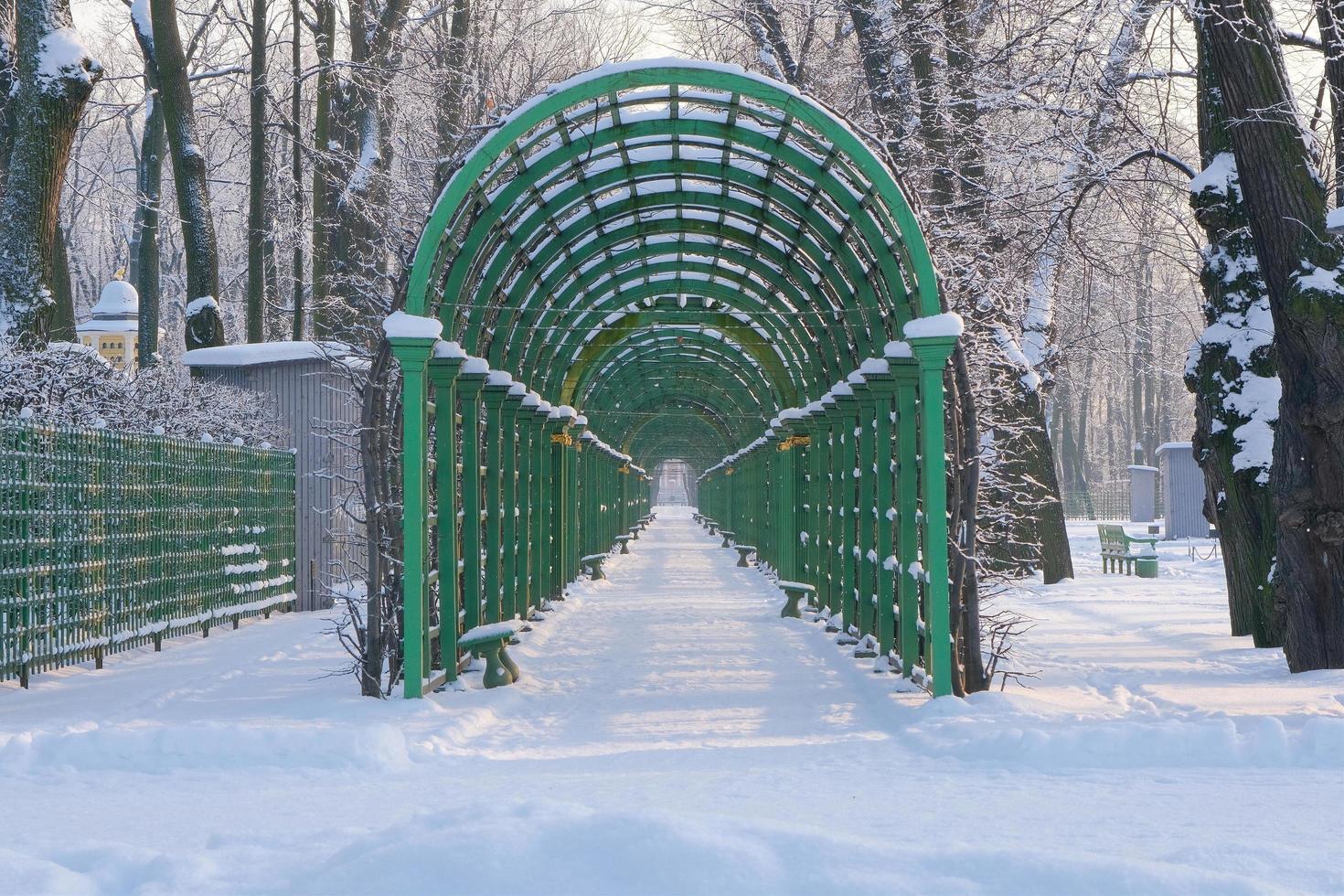 Arc de treillis vert dans alley summer garden park à st.petersburg photo