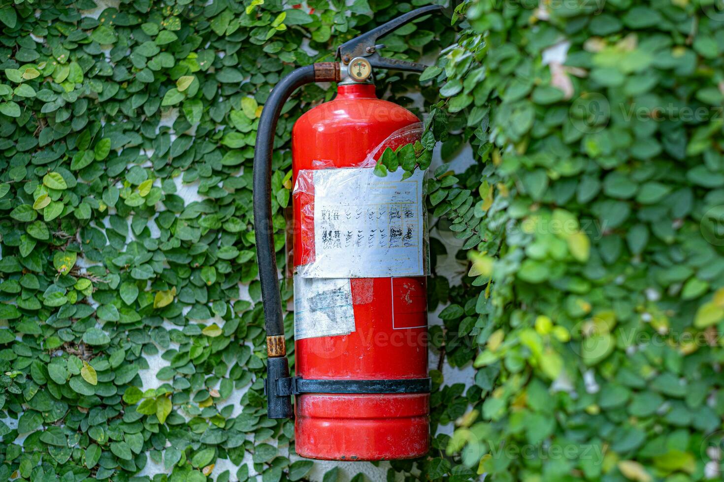 Feu extincteur sur une mur couvert avec escalade les plantes. photo