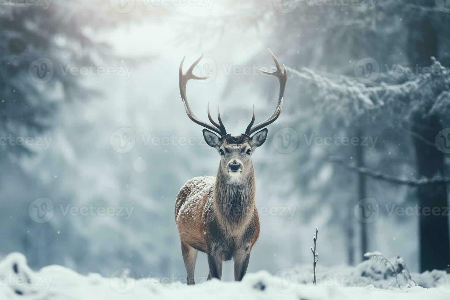 une cerf des stands dans de face de une neige couvert champ dans une hiver forêt. génératif ai photo