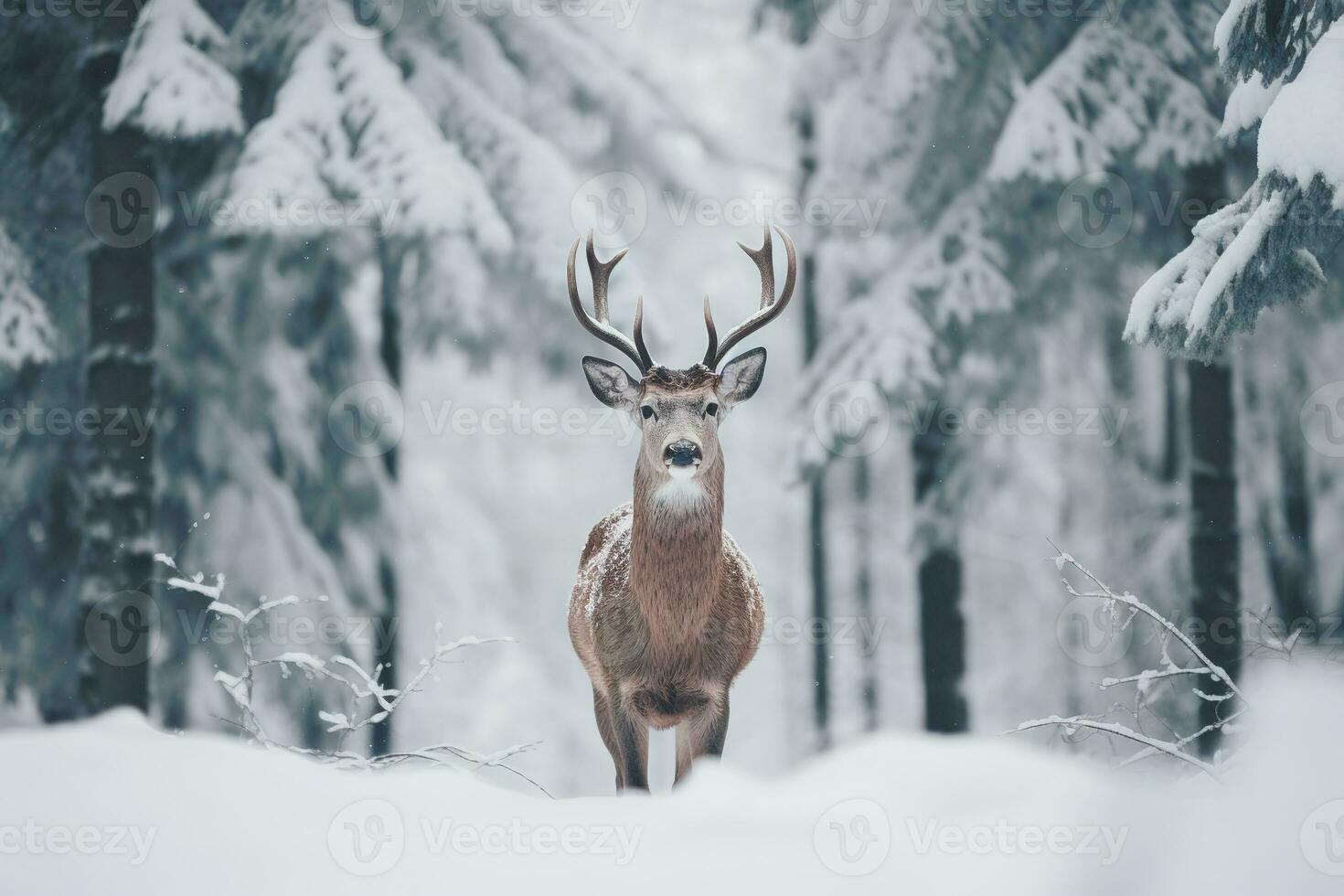 une cerf des stands dans de face de une neige couvert champ dans une hiver forêt. génératif ai photo