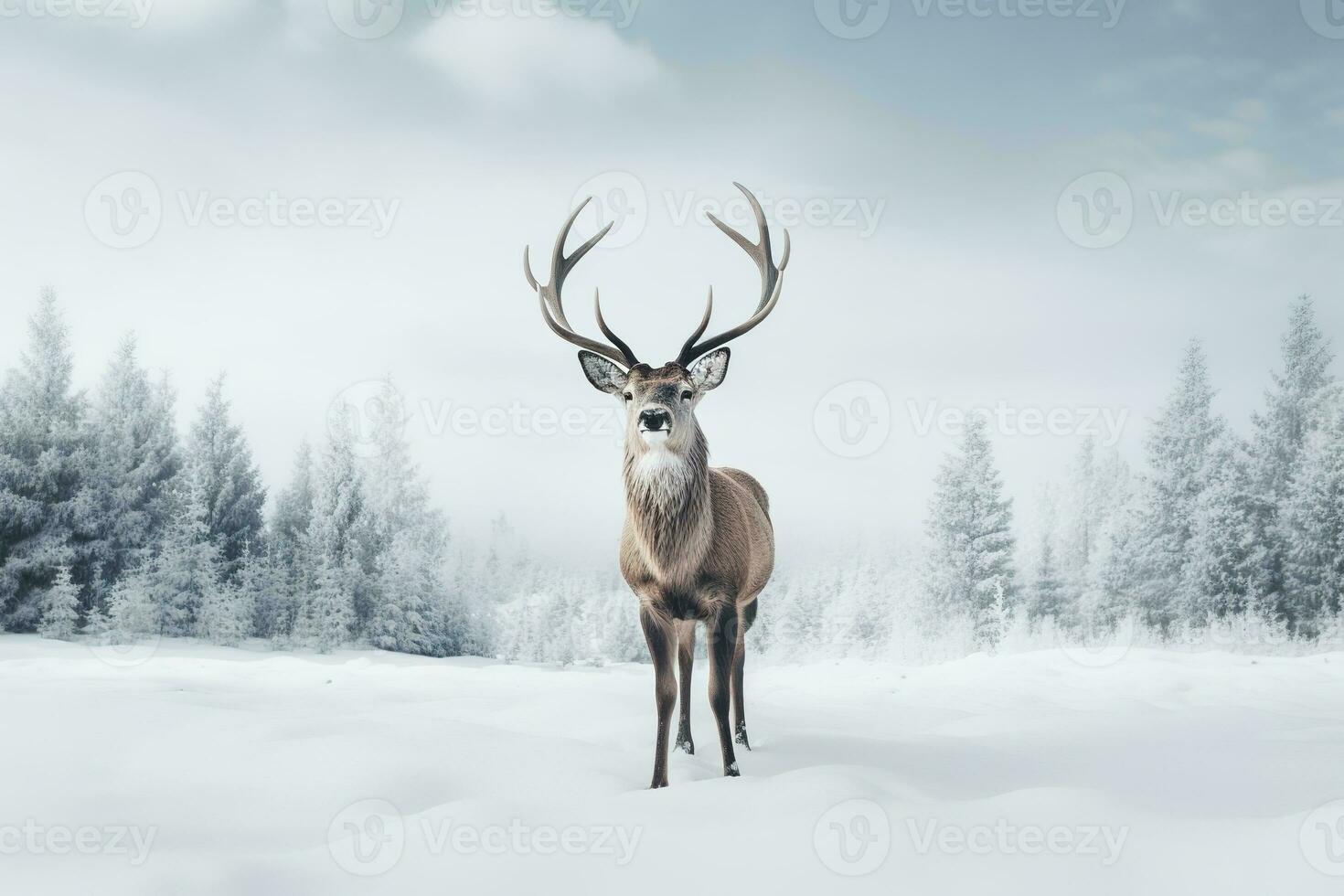 une cerf des stands dans de face de une neige couvert champ dans une hiver forêt. génératif ai photo