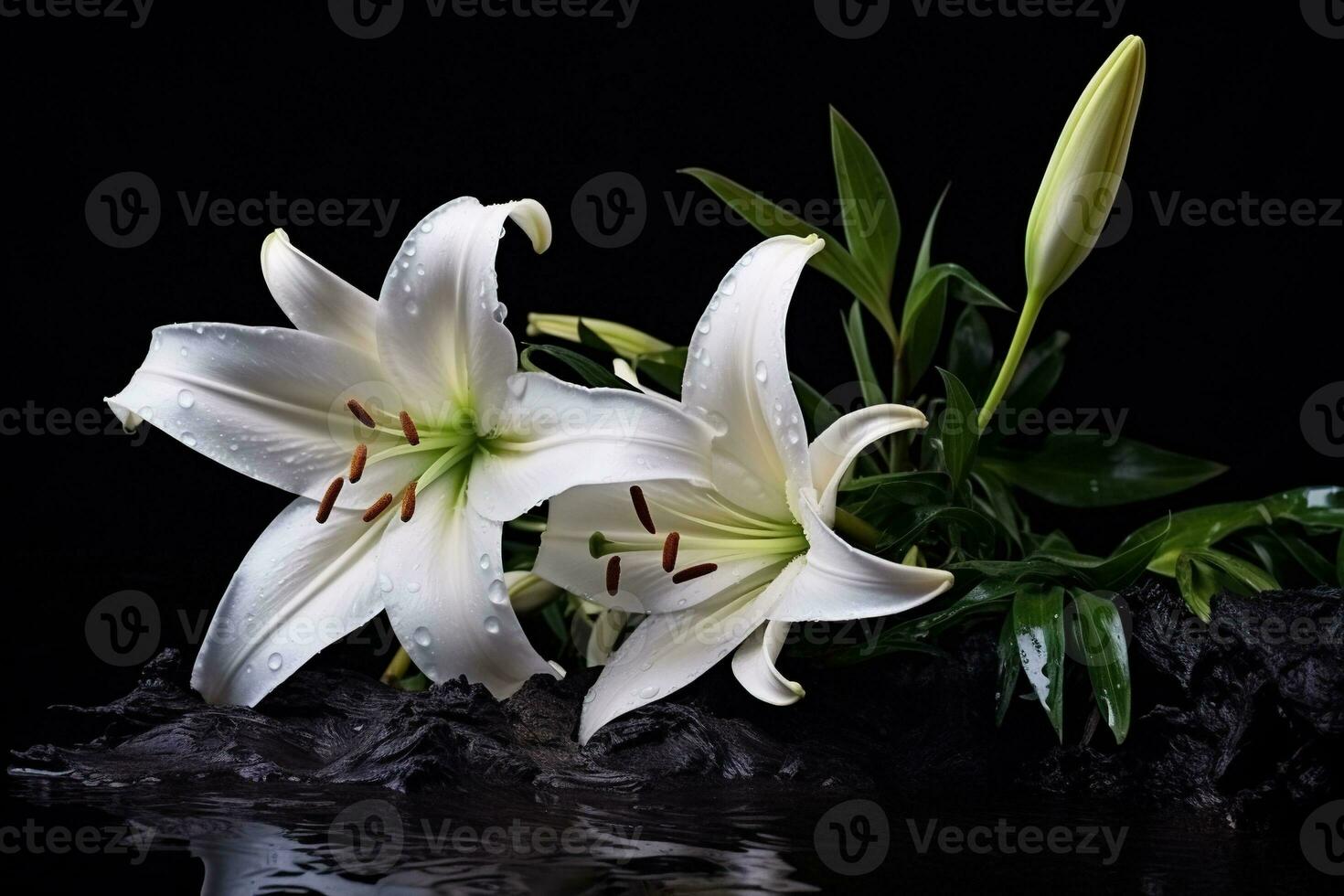 magnifique blanc lis fleurs sur noir Contexte avec copie espace.funérailles concept ai généré photo