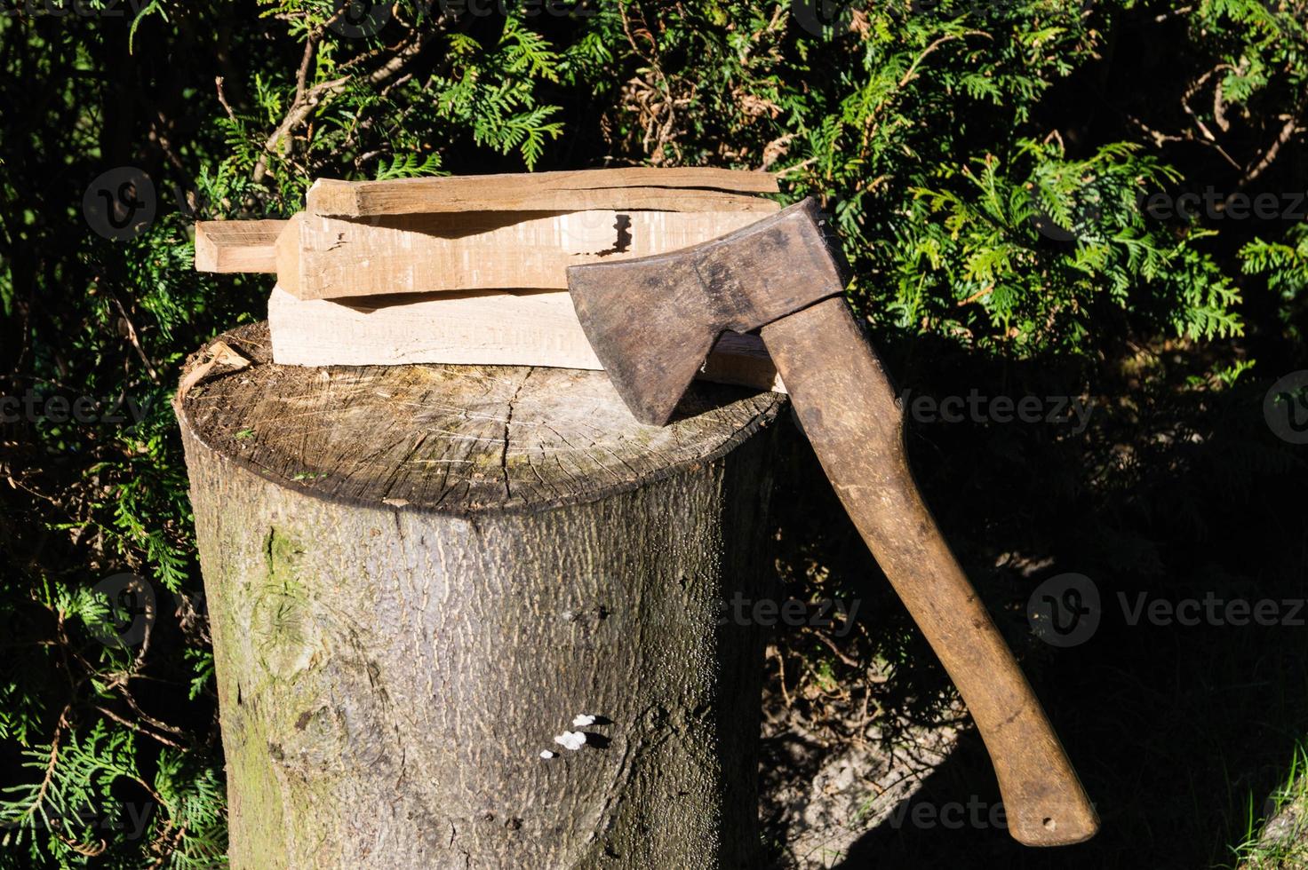 une pile de bois de chauffage photo