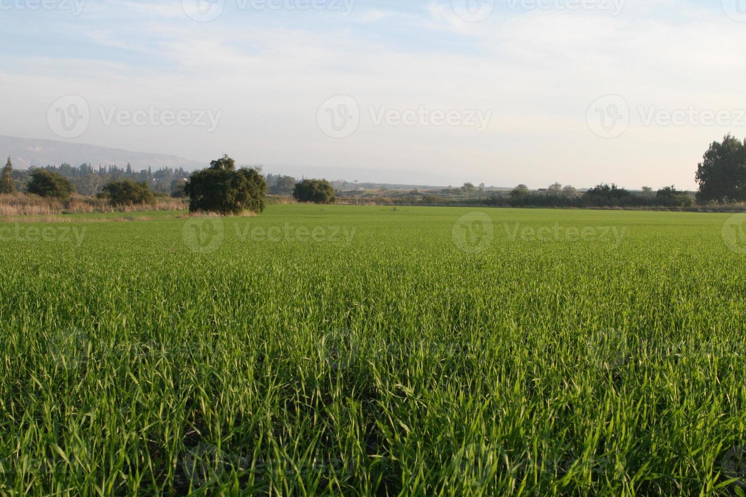 paysages étonnants d'israël, vues sur la terre sainte photo