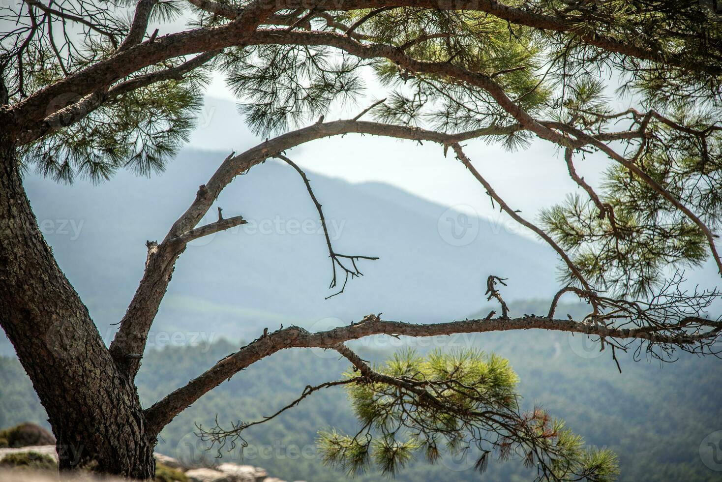 vue sur le mer de Haut de une montagne dans Rhodes, Grèce photo