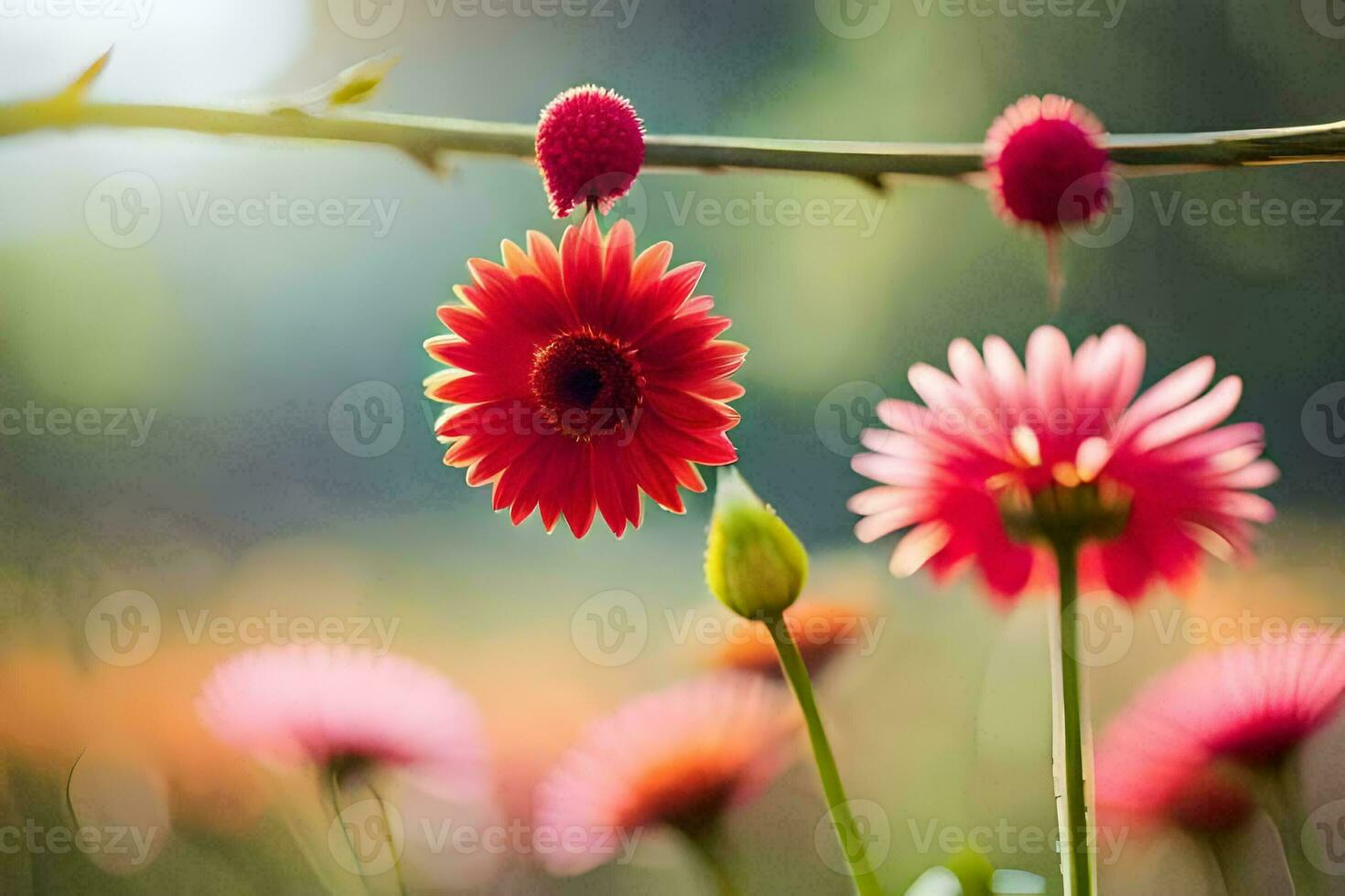 rouge fleurs sont dans le Soleil avec vert feuilles. généré par ai photo