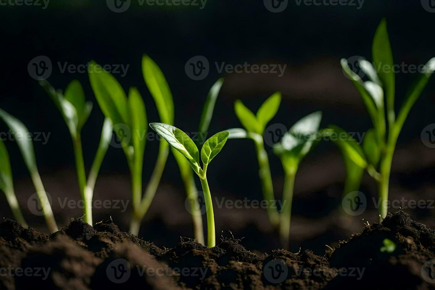 Jeune les plantes pousse de le sol. généré par ai photo