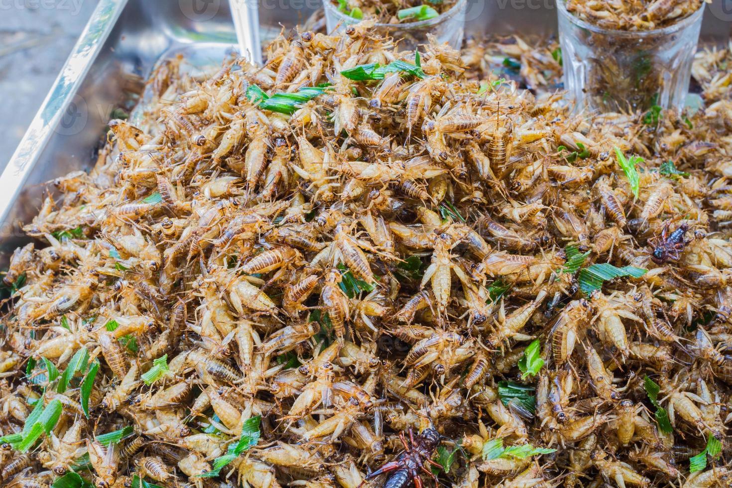 prêt à manger des grillons frits vendus sur le marché thaïlandais photo