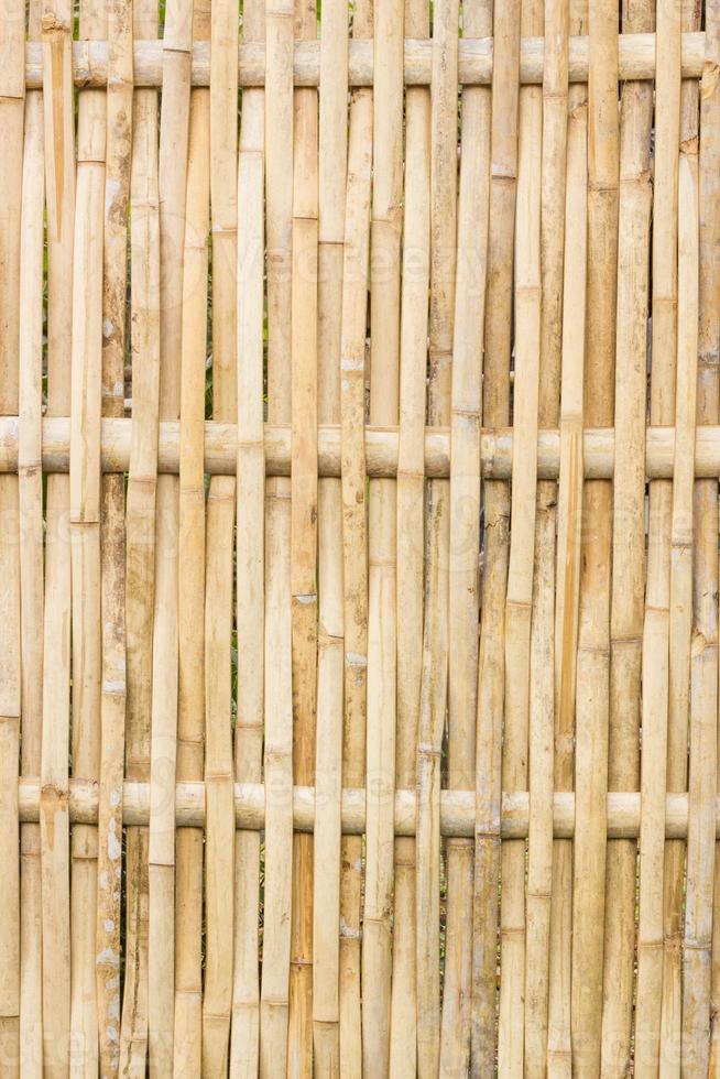 fond de clôture en bambou photo