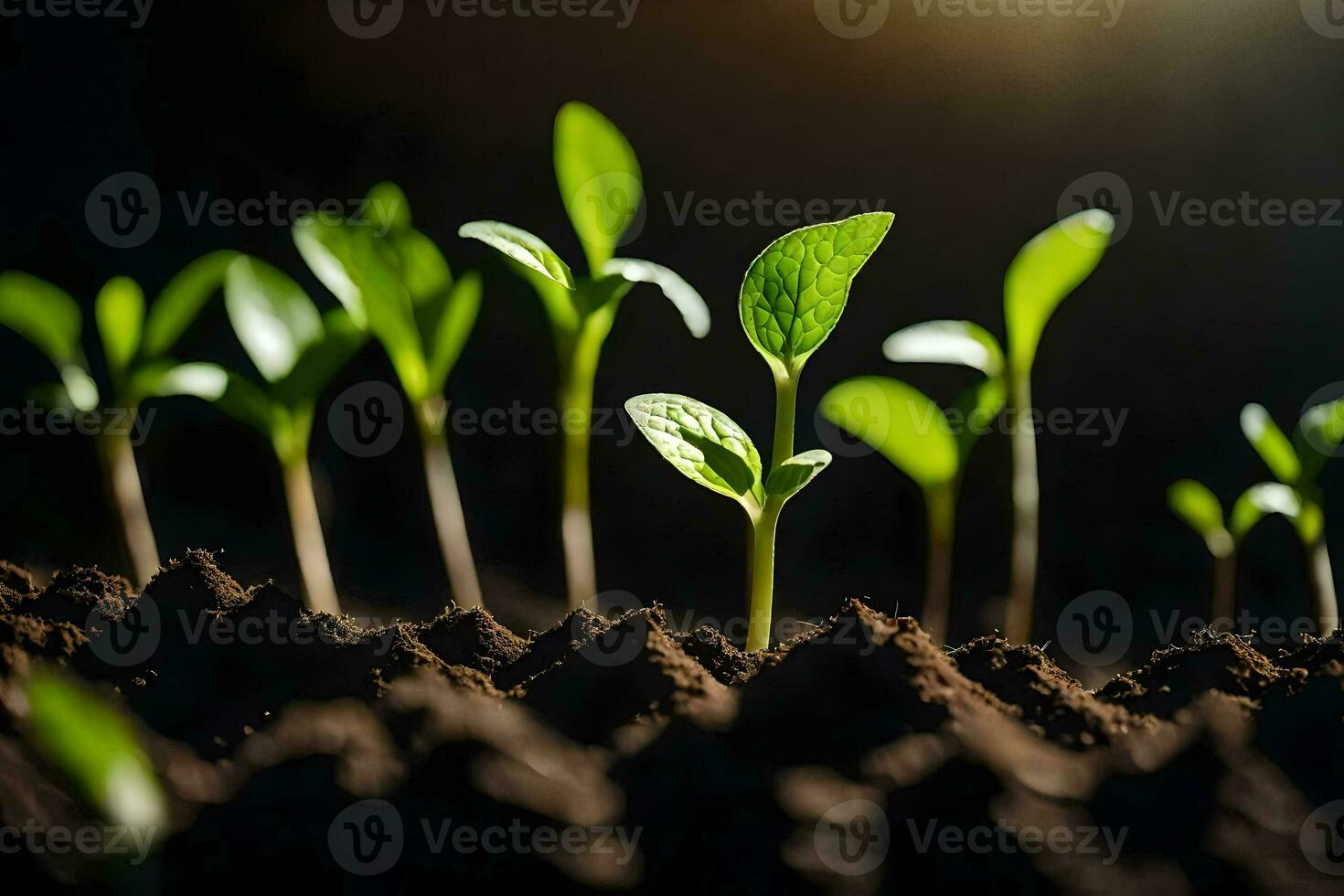 Jeune les plantes pousse de le sol. généré par ai photo