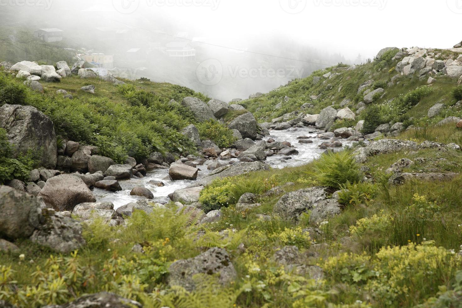 mer noire, ruisseau rize amlakit, turquie, vue photo