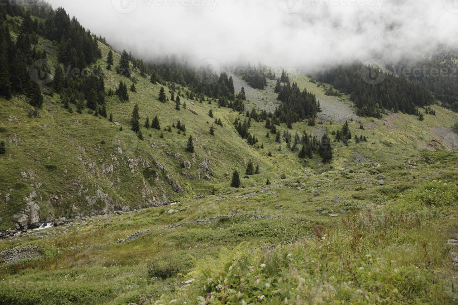 plateau elevit mer noire rize, paysage plateau elevit photo