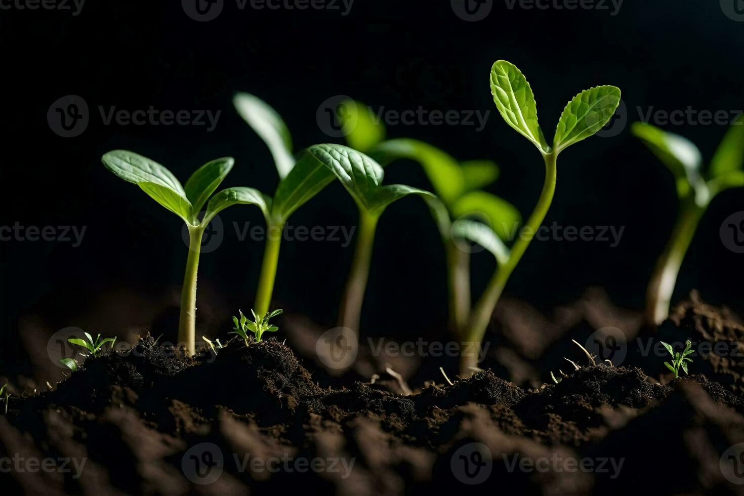 une groupe de Jeune les plantes croissance dans le sol. généré par ai photo