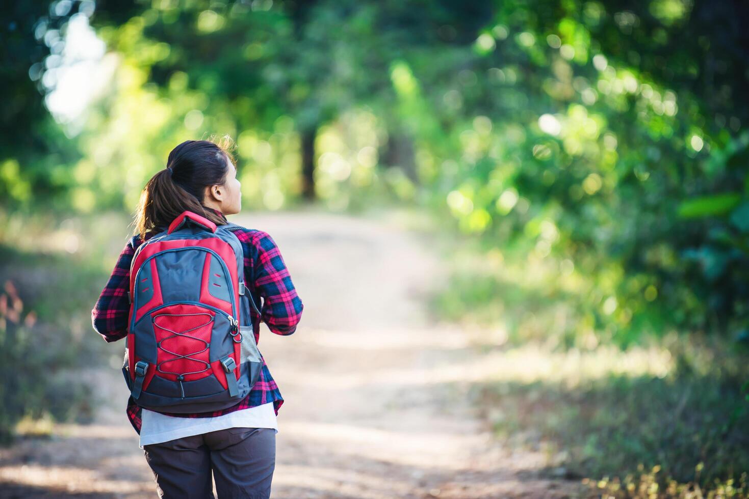 arrière du randonneur de la jeune femme avec sac à dos marchant sur un sentier de campagne. photo