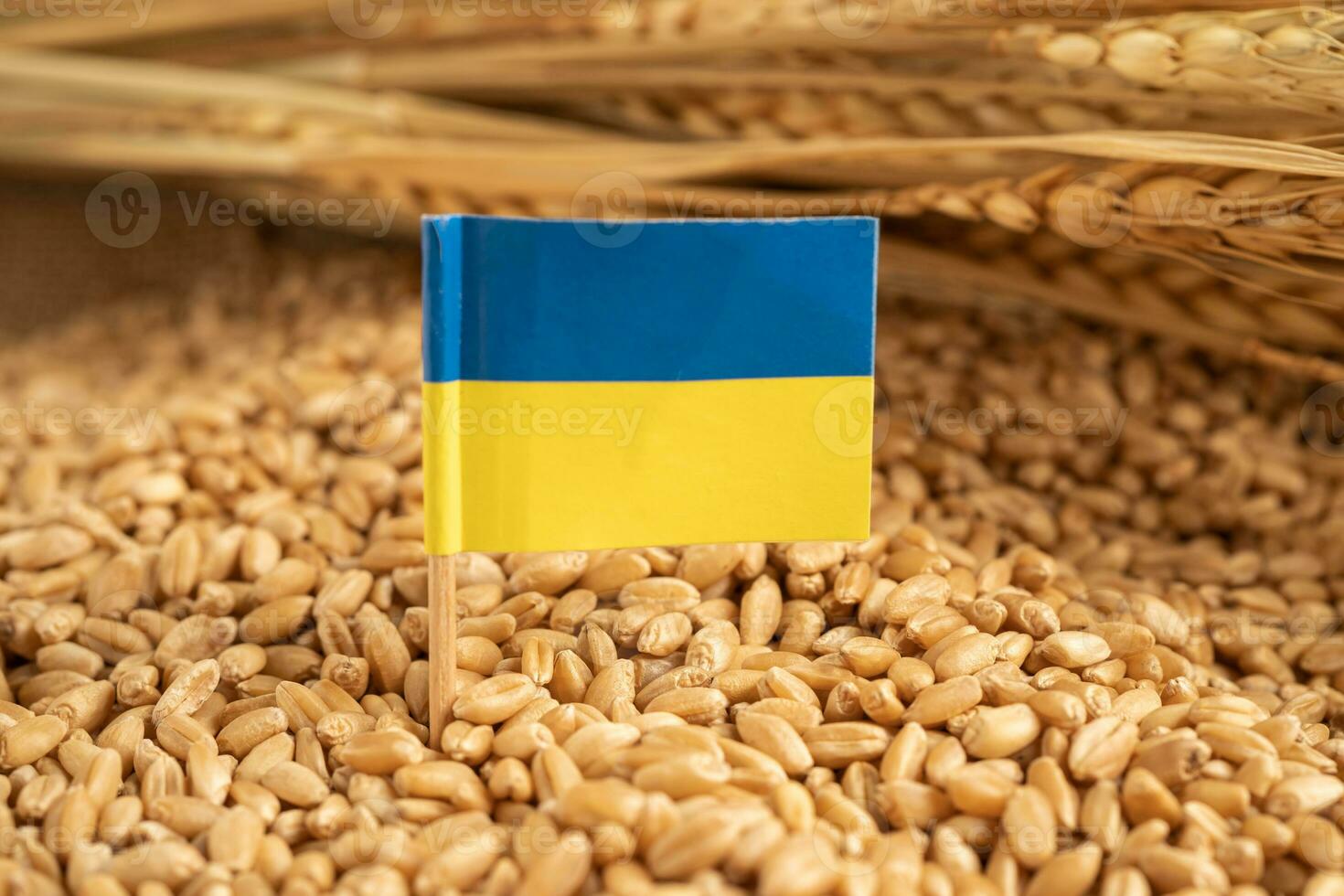 grains de blé avec drapeau de l'ukraine, exportation commerciale et concept d'économie. photo