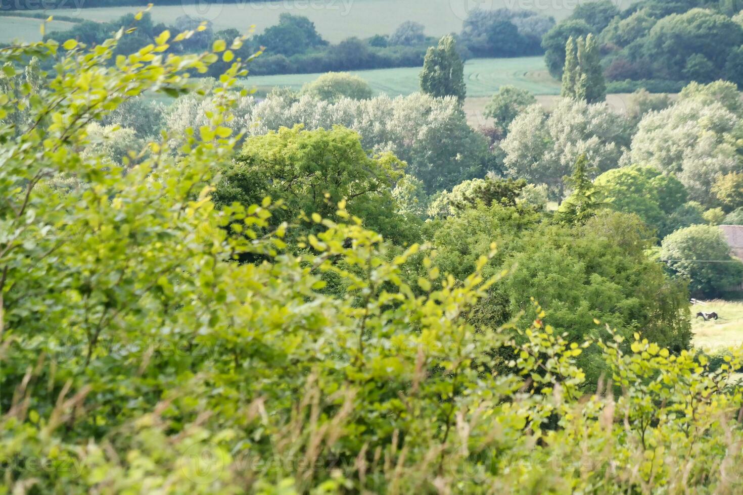 plus magnifique Britanique campagne paysage à aiguiser claquettes vallée de Angleterre luton, Royaume-Uni. image a été capturé sur juin 24, 2023 photo