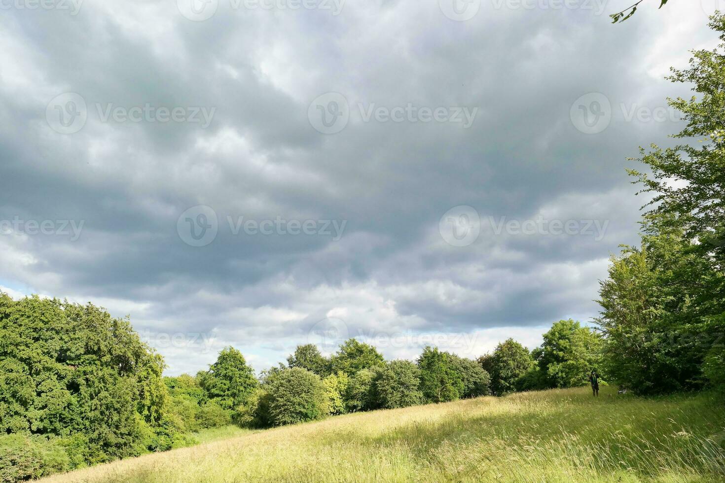 haute angle métrage de Britanique agricole fermes à campagne paysage proche luton ville de Angleterre génial Bretagne de Royaume-Uni. métrage a été capturé avec drone caméra photo