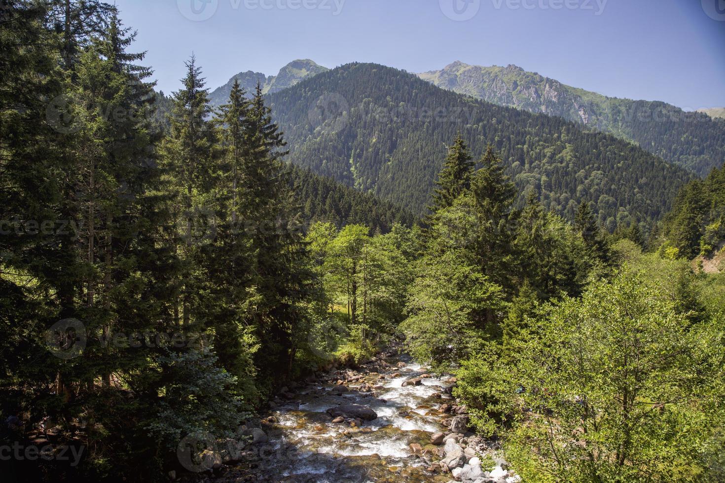 ruisseau firtina, rize, mer noire, turquie photo