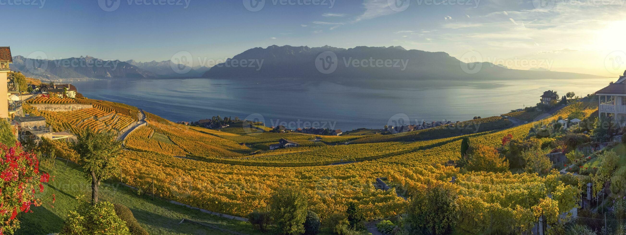 panorama sur lavaux région, vaudois, Suisse photo