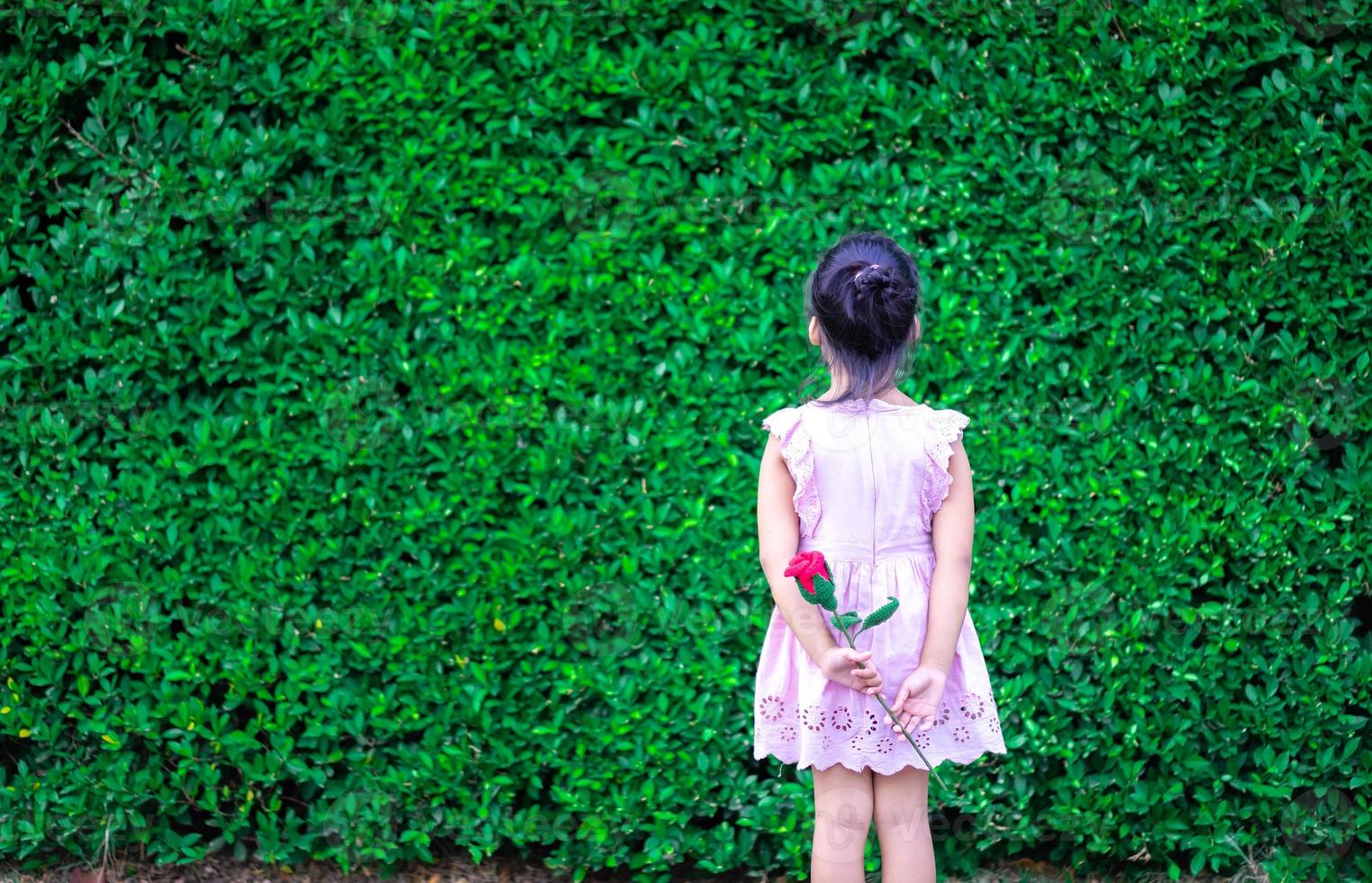 petite fille en robe reculer et tenant une rose rouge dans le parc photo