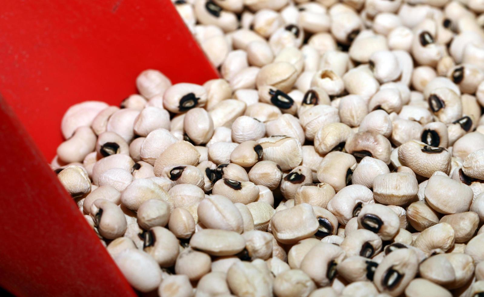 aliments crus légumineuses haricots rouges photo