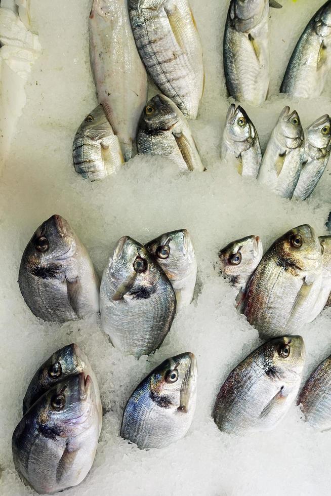 nourriture pour poissons dans un stand de marché aux poissons photo