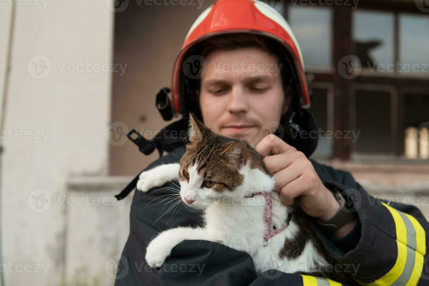 fermer portrait de héroïque pompier dans protecteur costume et rouge casque détient enregistré chat dans le sien bras. sapeur pompier dans Feu combat opération. photo