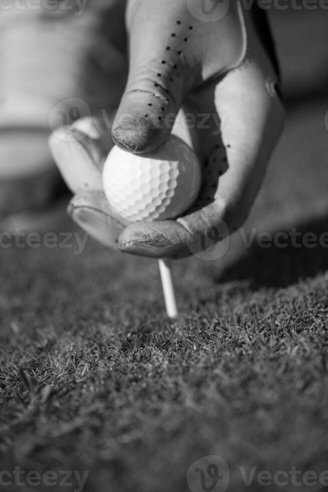 joueur de golf plaçant la balle sur le tee photo