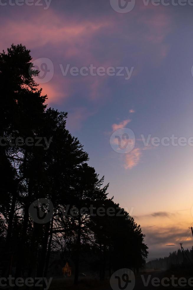 paysage nature vue depuis la rue au paysage, espace pour le texte. photo