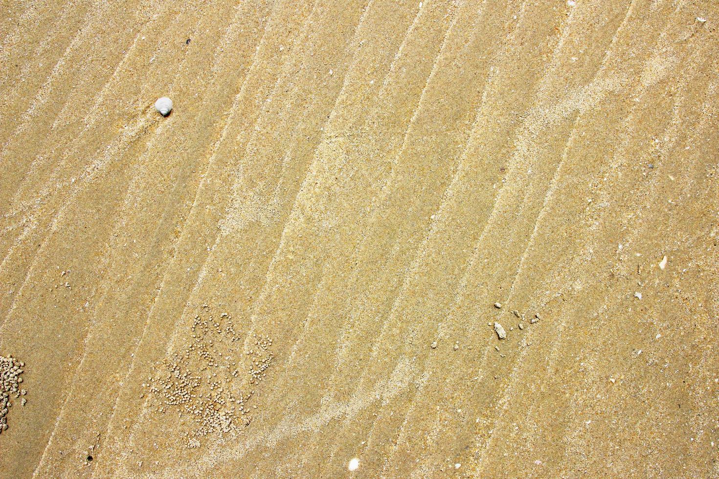 fond de texture de sable sur la plage photo