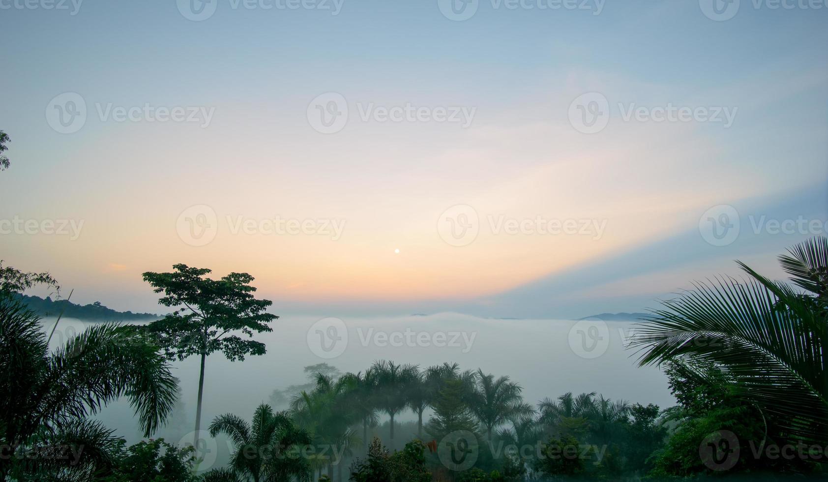 brume matinale sur la forêt fertile. le ciel du matin, les nuages oranges. photo