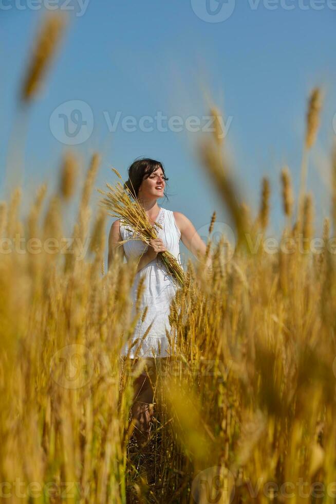 jeune femme dans un champ de blé en été photo