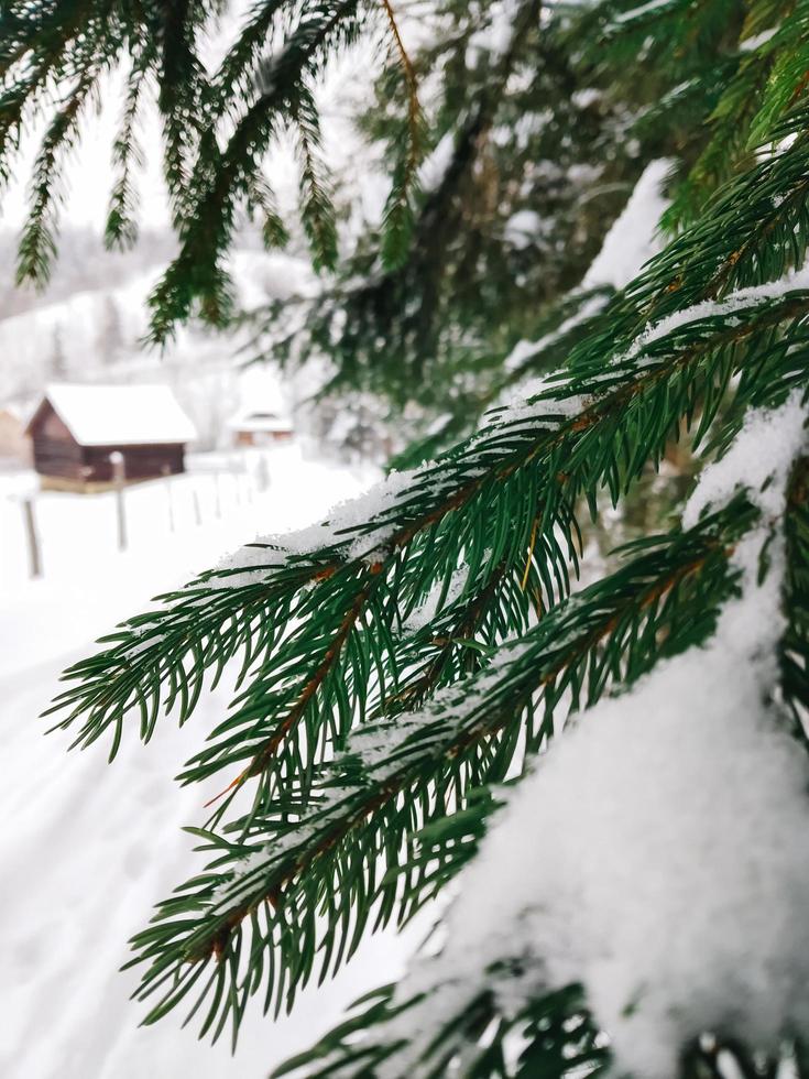 paysage de campagne d'hiver photo