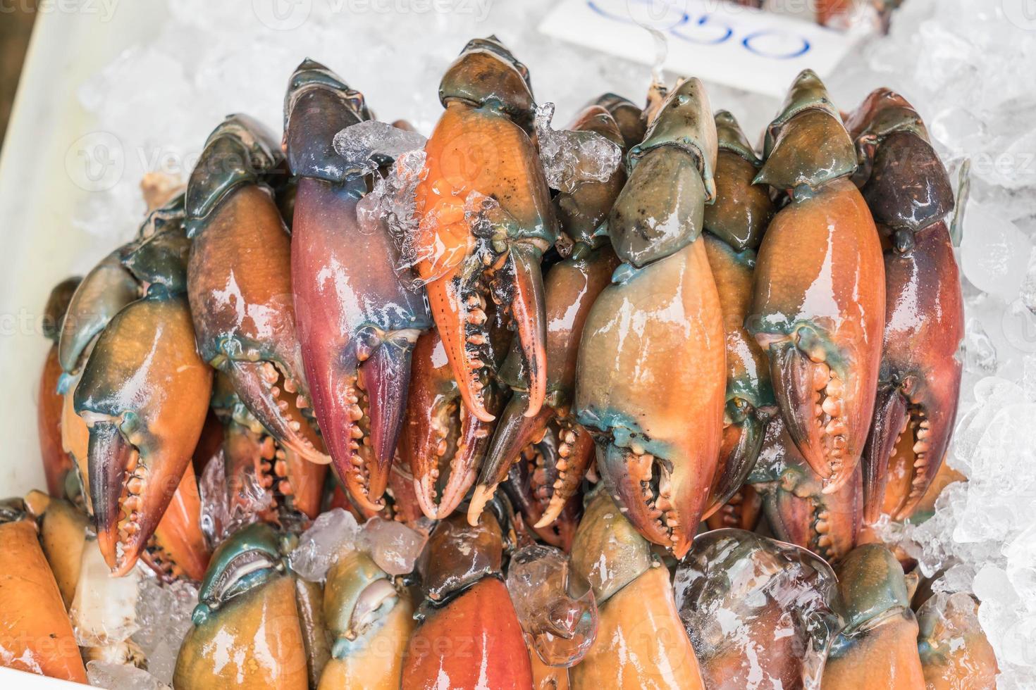 crabe noir frais au marché photo